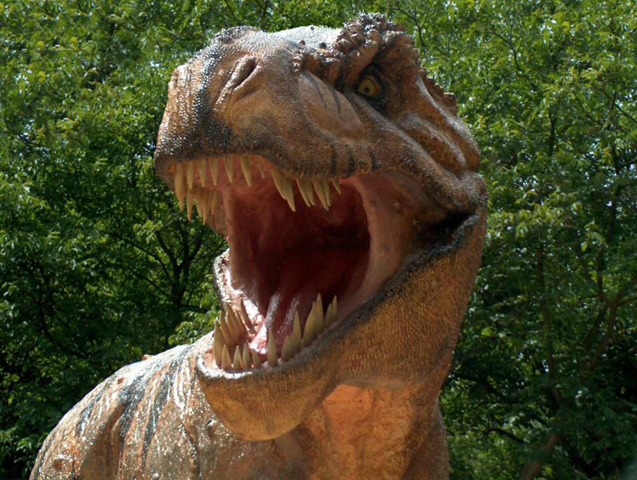 Dinosaure - Tyrannosaure Rex