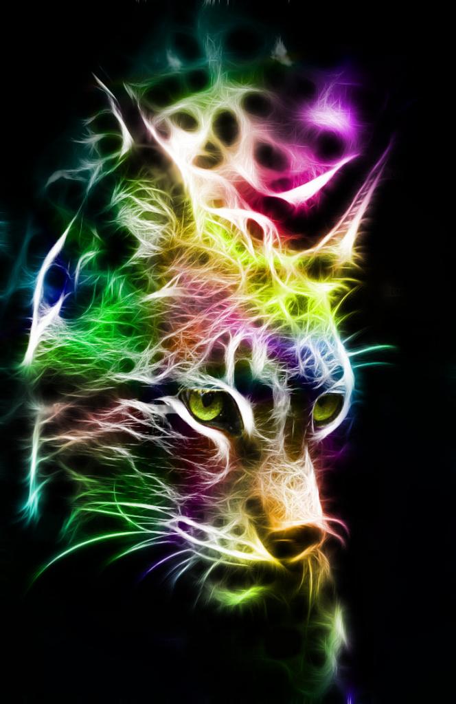 Lynx en couleurs